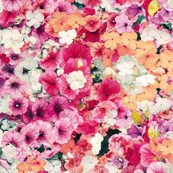 Blomster No10 (Minikort)