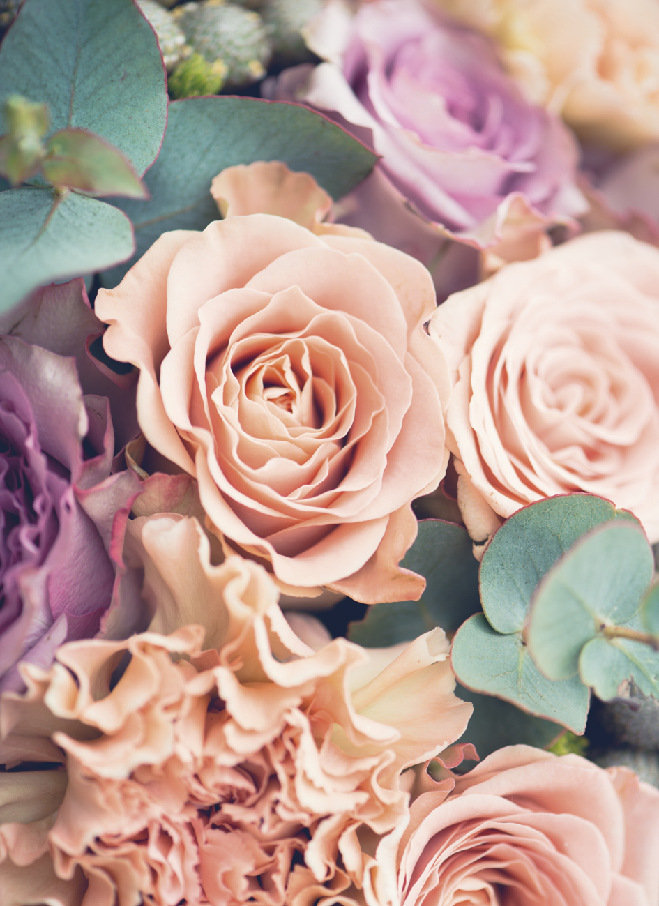 Roses No1 (Minikort)
