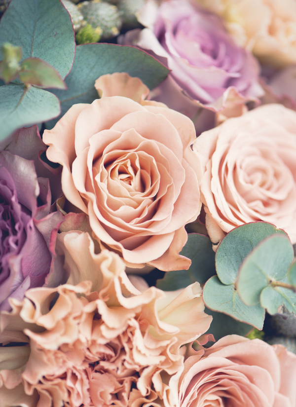 Roses No1 (Minikort)