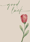 Good Luck - Minikort