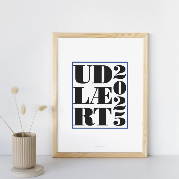 Blå Udlært 2025 -  Plakat