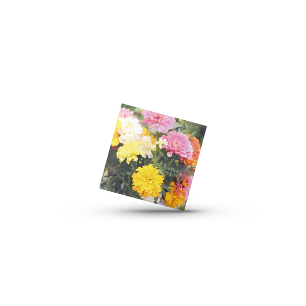 Blomster No12 (Minikort)