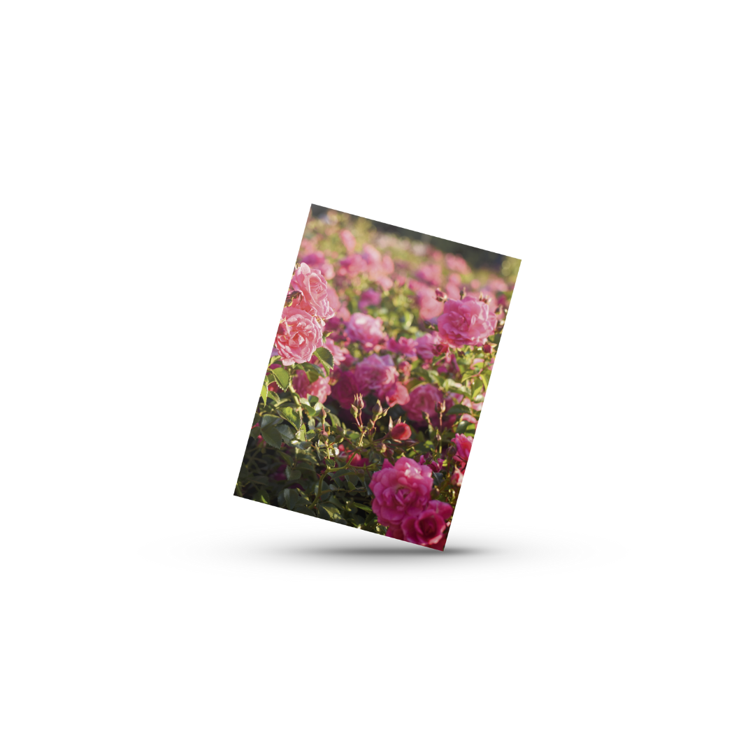 Blomster No6 (Minikort)