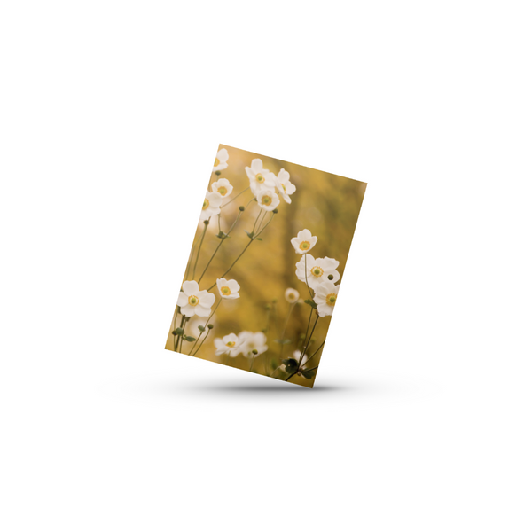 Blomster No5 (Minikort)