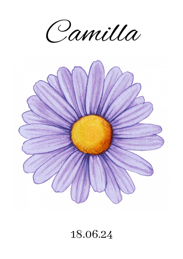 Daisy Lilla - Design selv