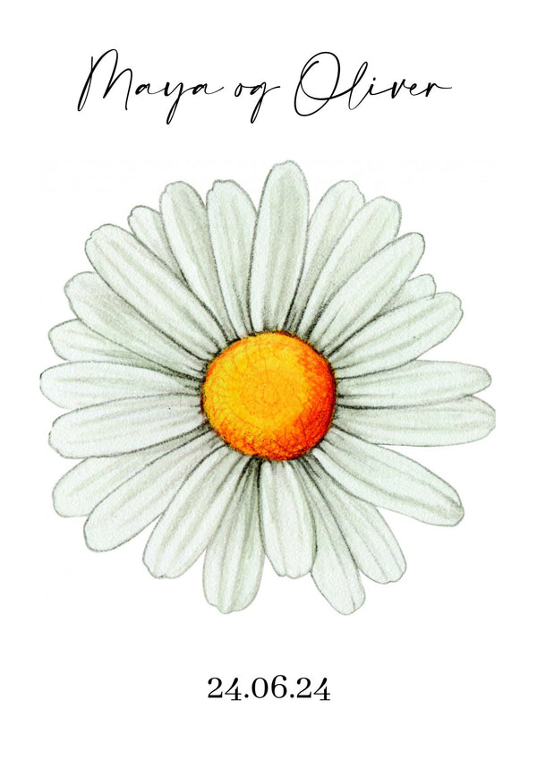 Daisy Lilla - Design selv