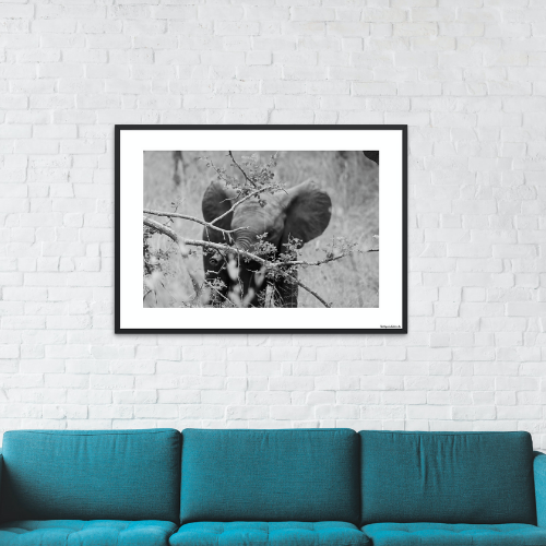 Safari - Elefantunge bag træ - tæt på s/h