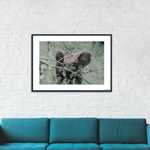 Safari - Elefantunge bag træ - tæt på (mat look)