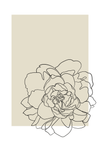 Simple Lines No23