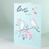 Love in air - Minikort