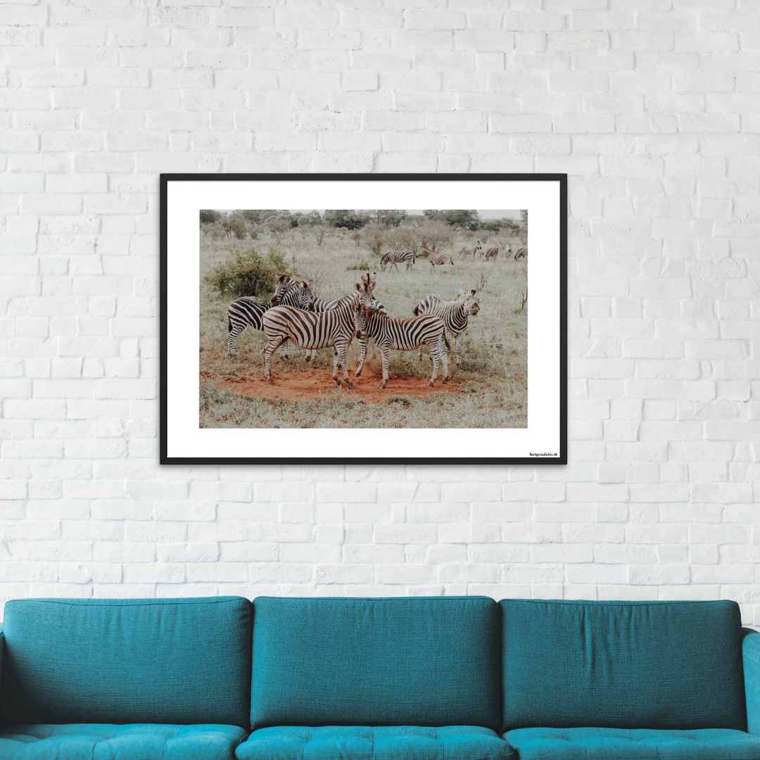 Safari - Zebra flok (mat look)