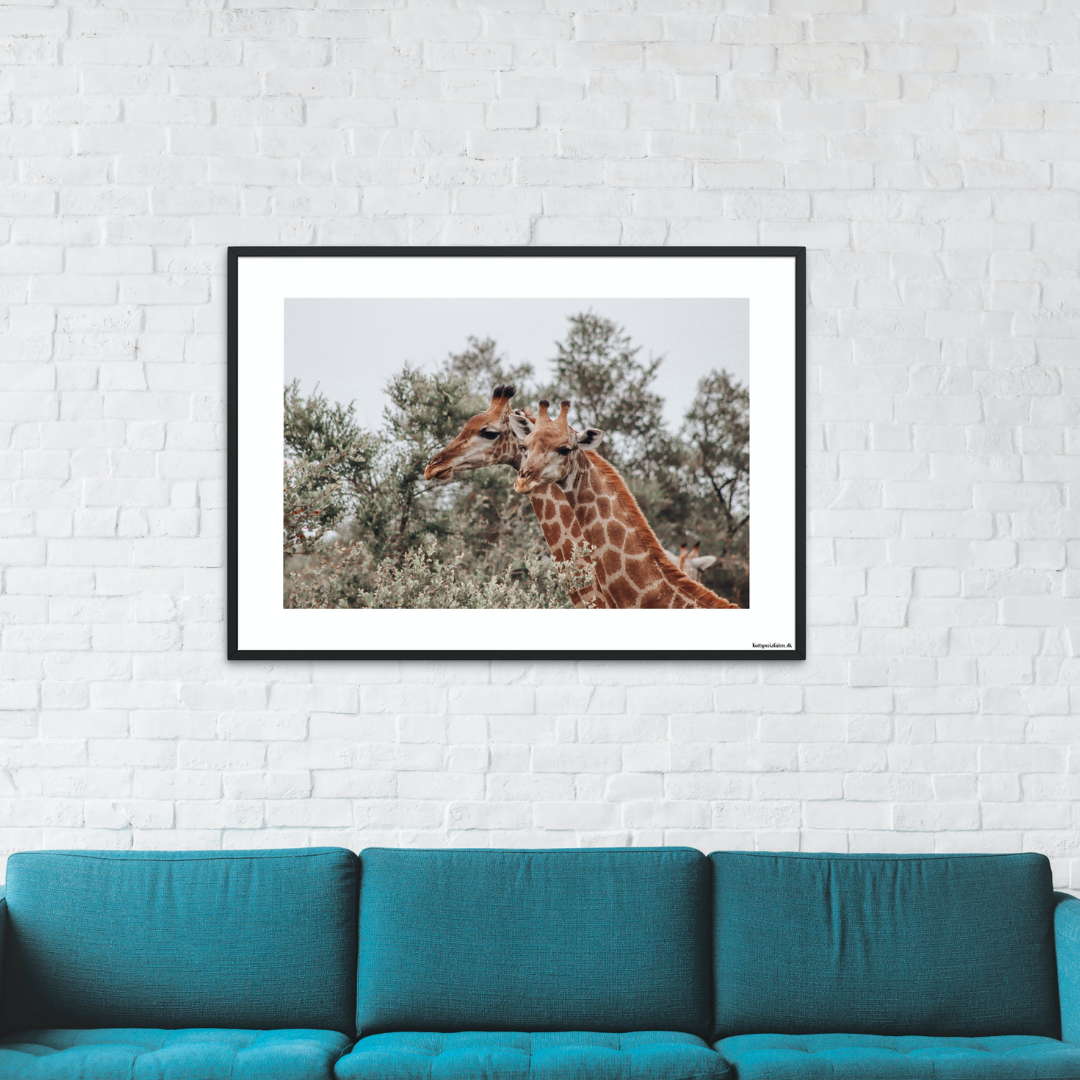 Safari - Giraffer (mat look)