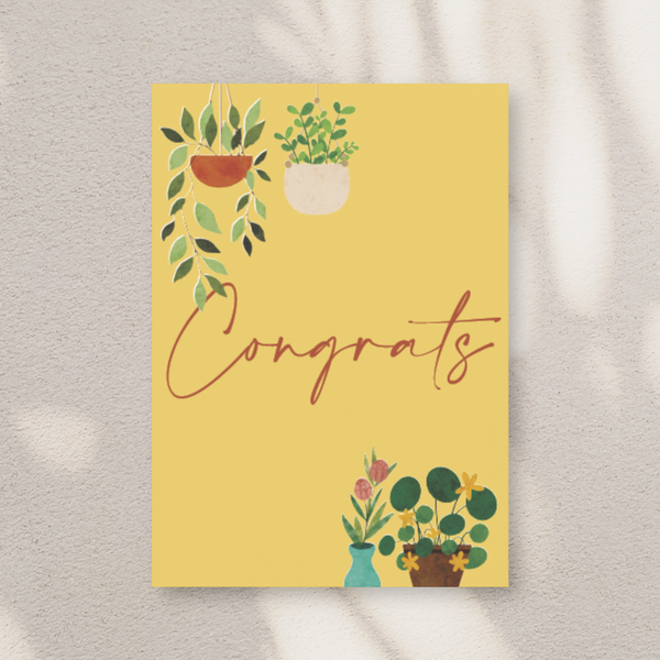 Congrats - Kort
