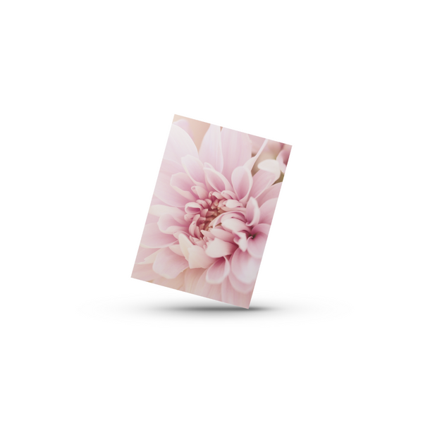 Lyserød Blomster (Minikort)