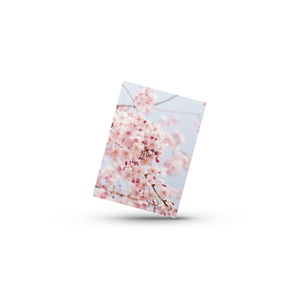Blossoms (Minikort)