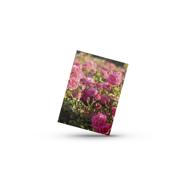 Blomster No6 (Minikort)