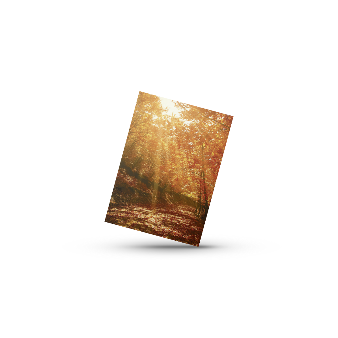 Efterårsblade No2 (Minikort)