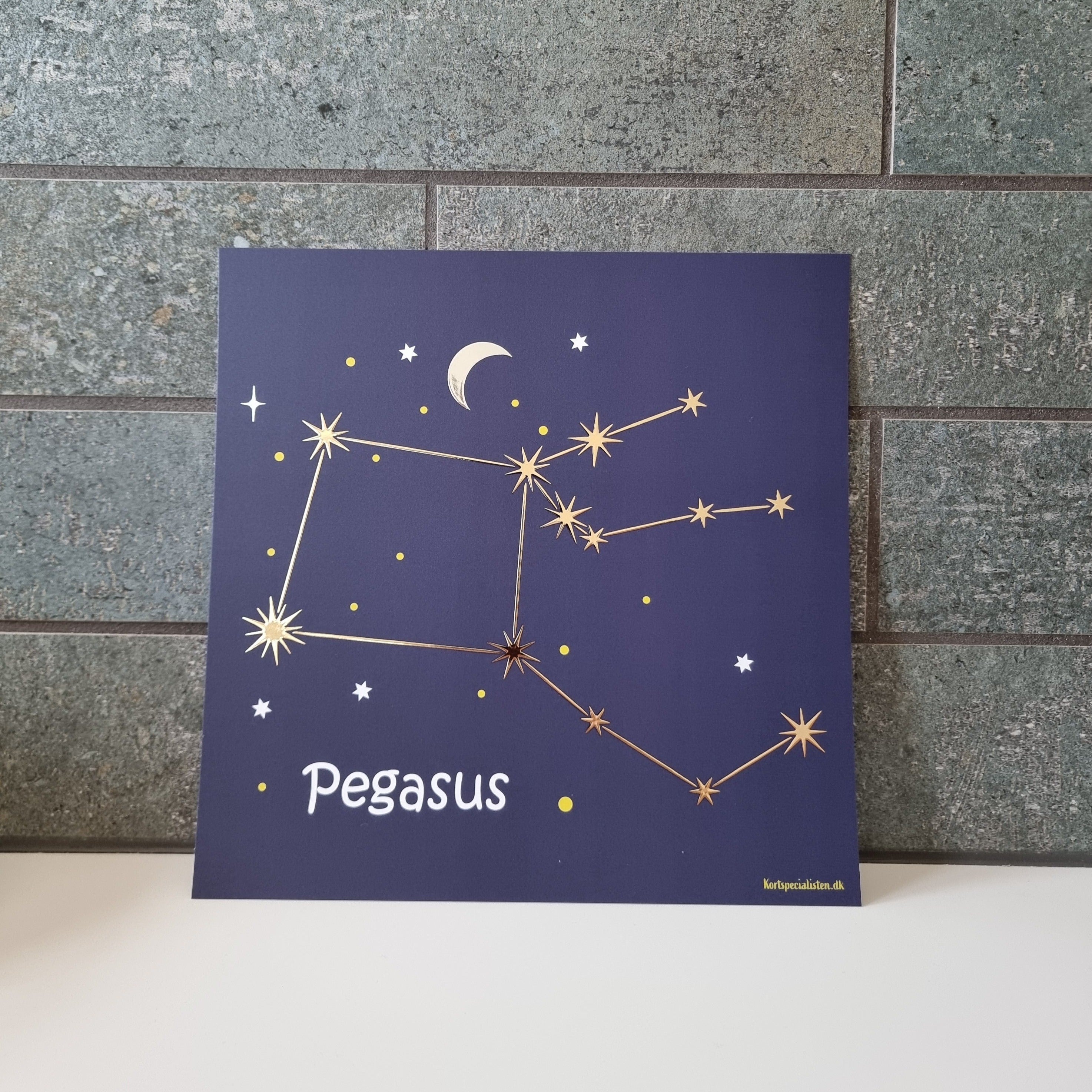 Constellation - Pegasus