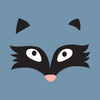 Animal Face - Raccoon