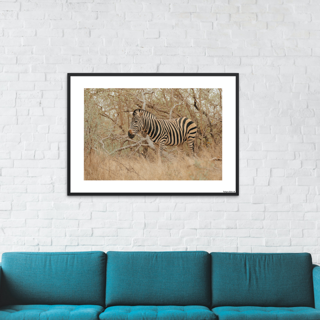 Safari - Zebra (mat look)