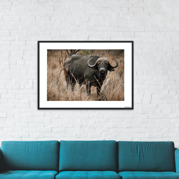 Safari - Buffalo (matt look)