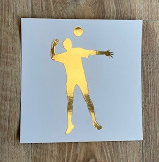 Volleyball - Guld